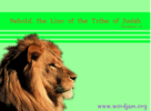 Lion of the Tribe of Judah Wallpaper
